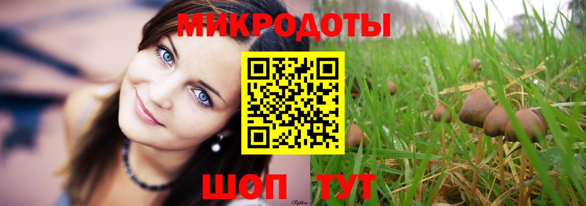 Конаково  Псилоцибиновые грибы MAGIC MUSHROOMS  Псилоцибиновые грибы прущие грибы  Вход с VPN 
