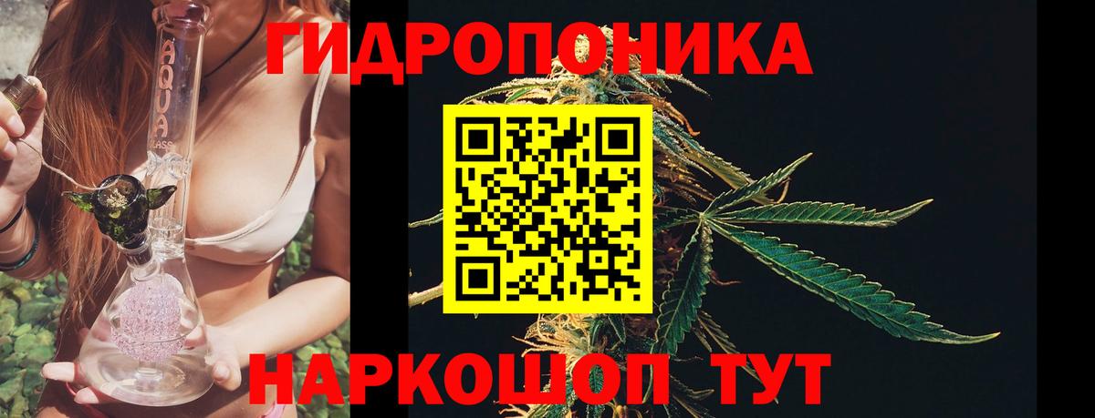 Каннабис OG Kush  Вход с VPN  Конаково  Каннабис LSD WEED  Шишки марихуана сатива 